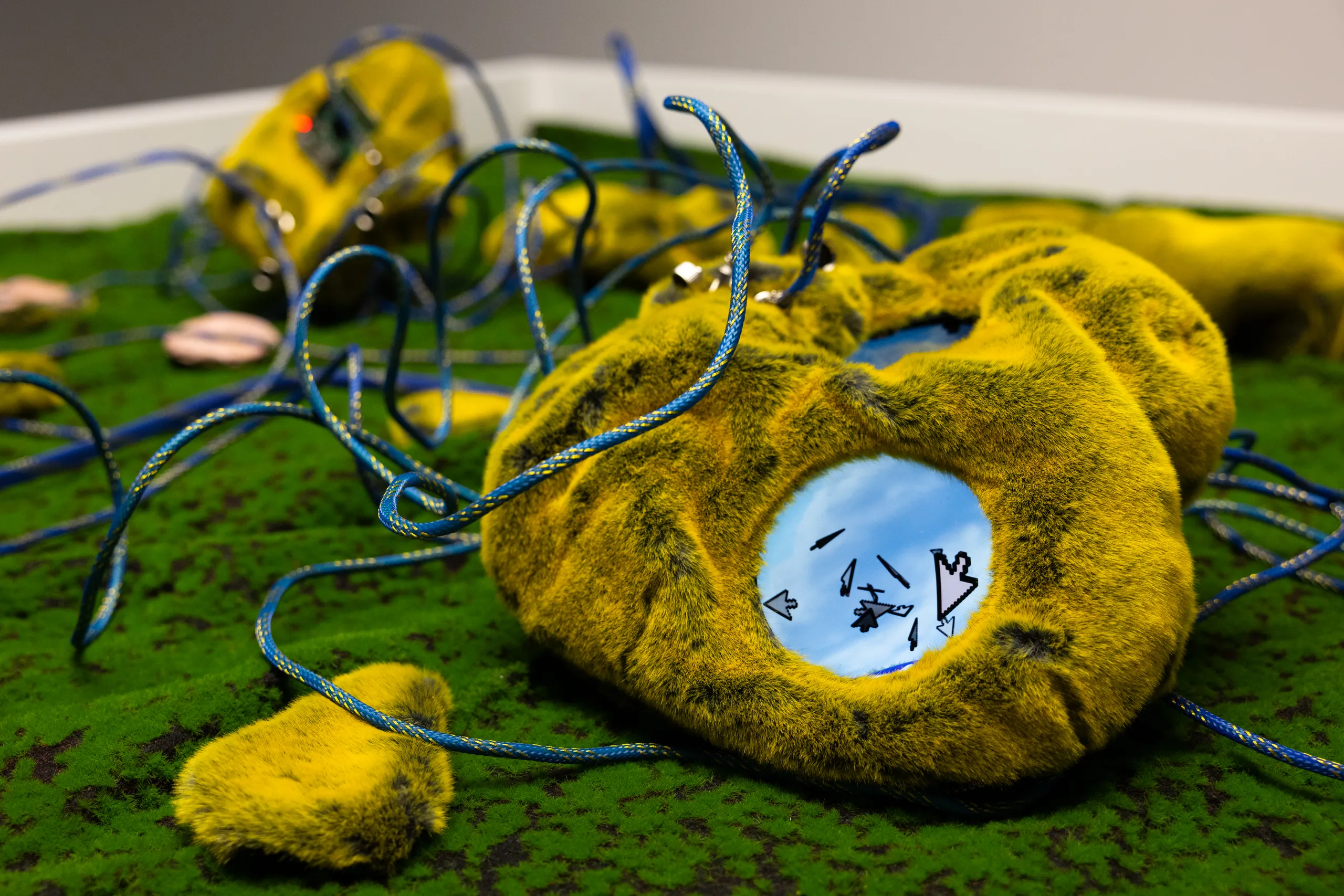 photo documentation of the exhibition