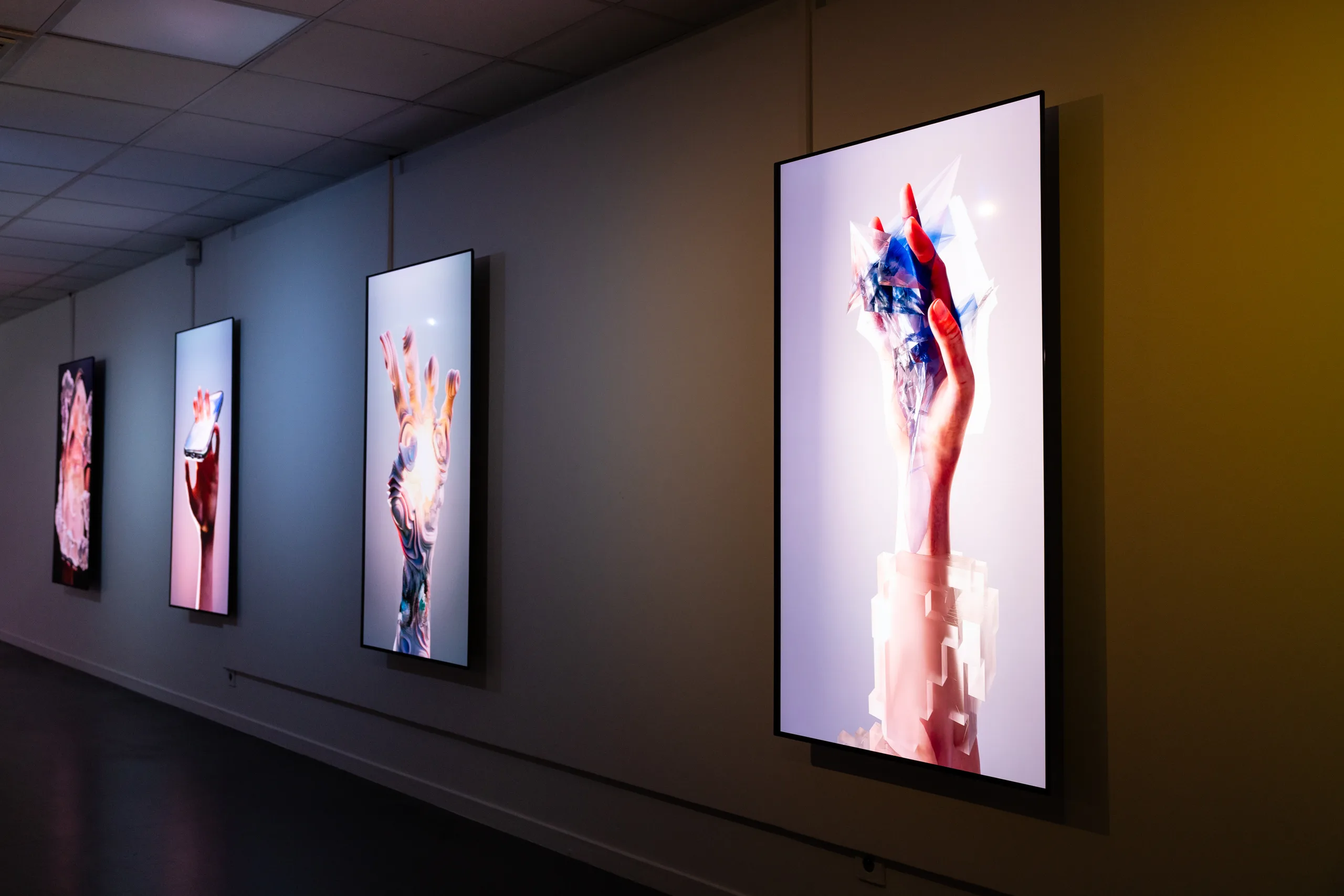photo documentation of the exhibition