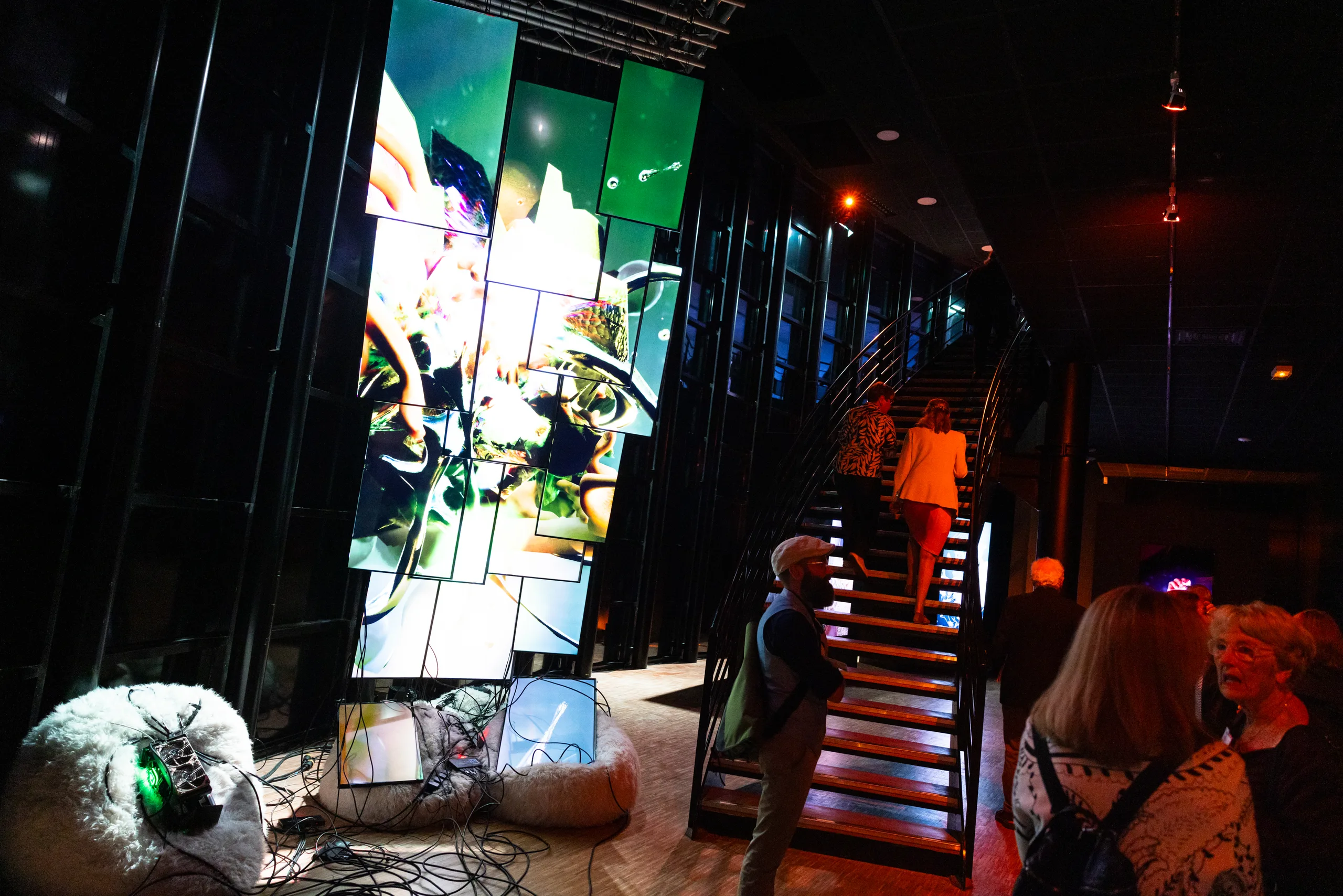 photo documentation of the exhibition