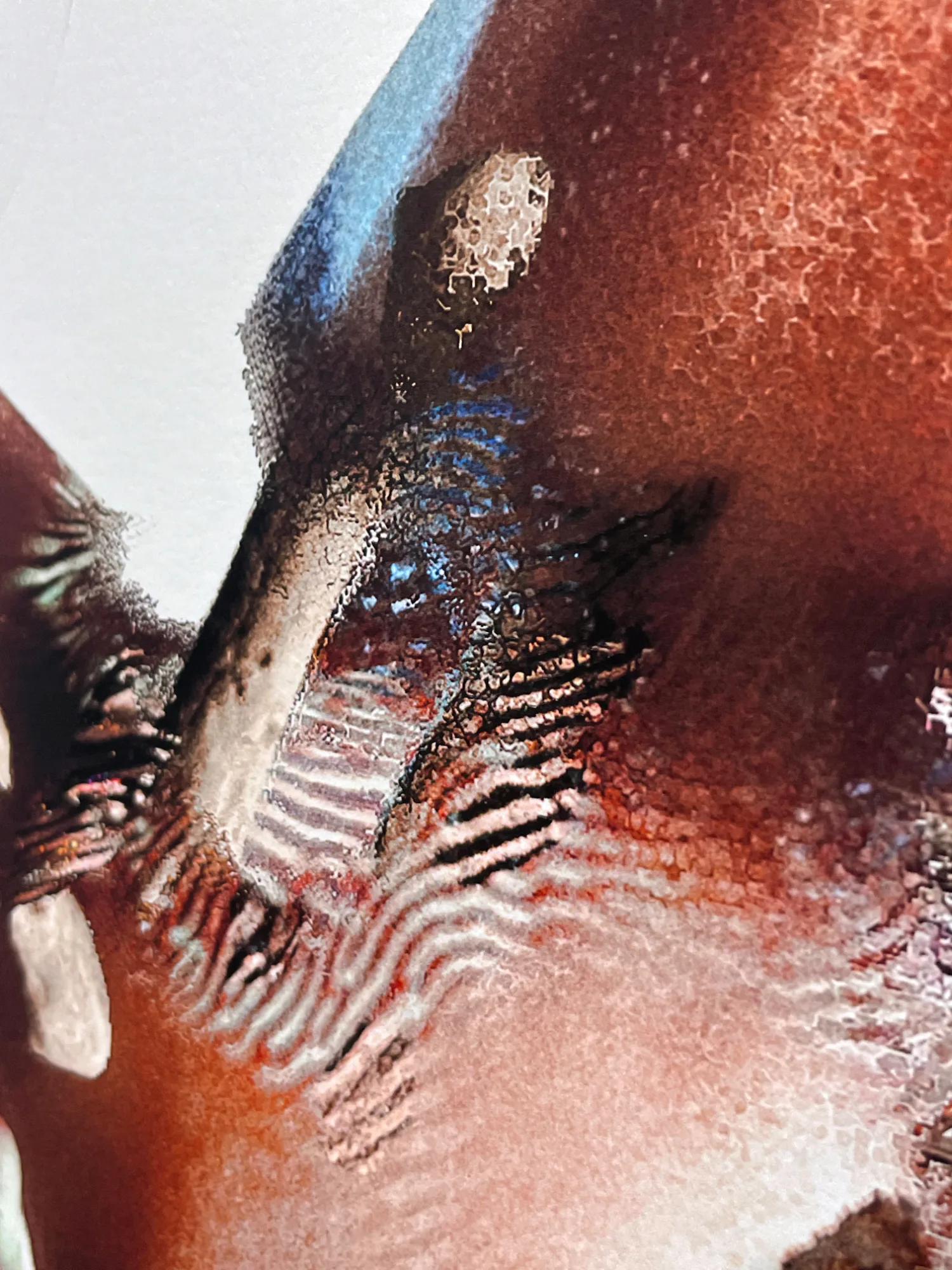 print detail