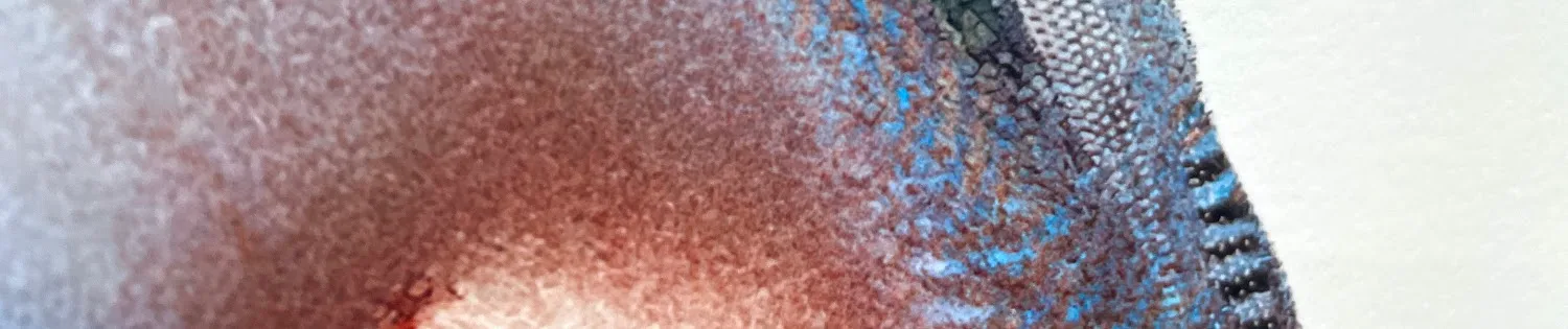 print detail